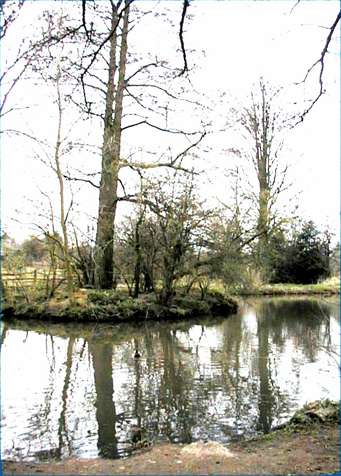 Hawkes Mill Pool